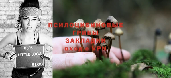 мескалин Козловка