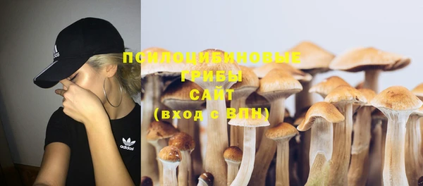 MESCALINE Карпинск