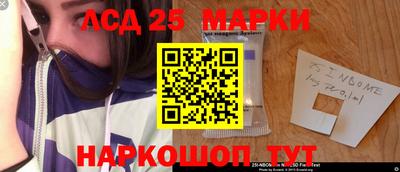 индика Кандалакша
