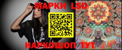 индика Кандалакша