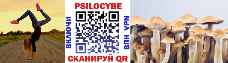 Псилоцибиновые грибы Psilocybe  что такое наркотик  Крымск 