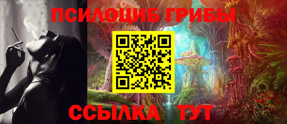 Псилоцибиновые грибы Psilocybine cubensis Крымск