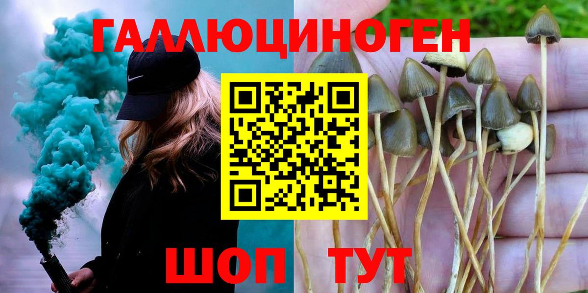 Псилоцибиновые грибы Cubensis  купить наркотик  Вход с VPN  Крымск  Галлюциногенные грибы мухоморы 